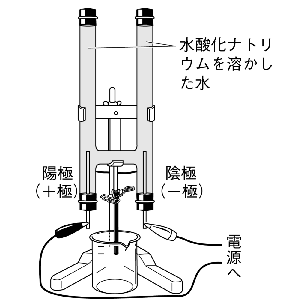 plate-sample8