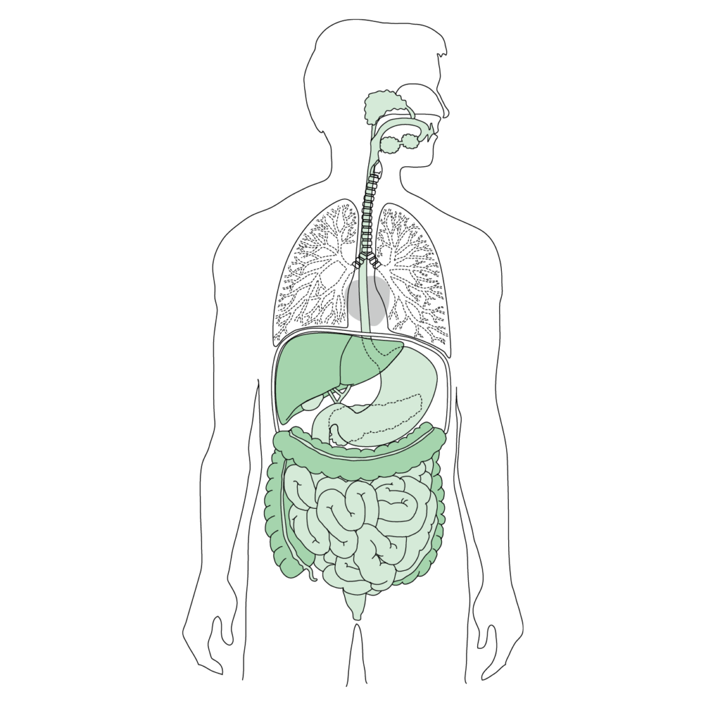 plate-sample10