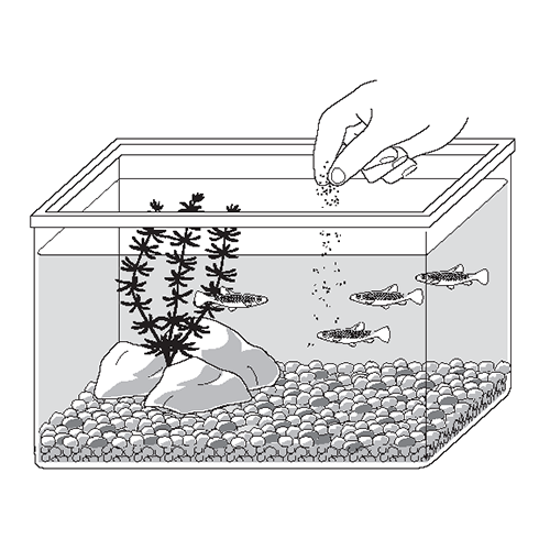 plate-sample3